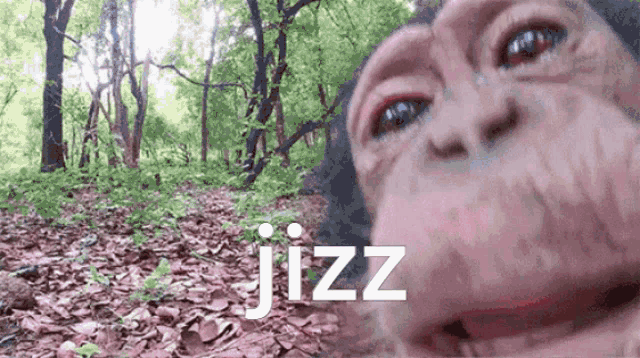a close up of a monkey 's face in the woods with the words jzz written above it