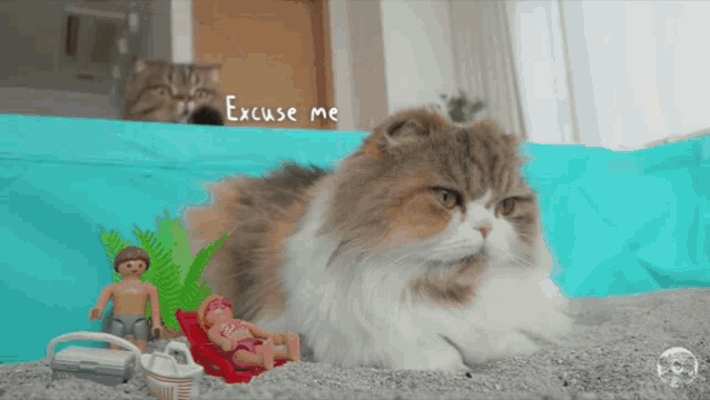 a cat is laying on a bed with toys and the words " excuse me " written on it