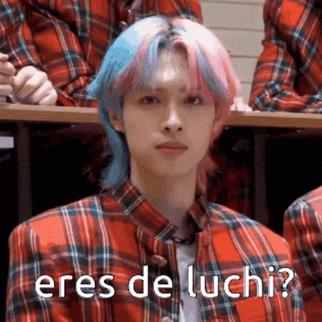 a man with blue and pink hair is wearing a plaid shirt and says eres de luchi .