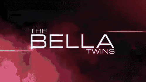 Hjj GIF - Bella Twins Wwe GIFs