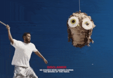a man is holding a piñata with an owl on it