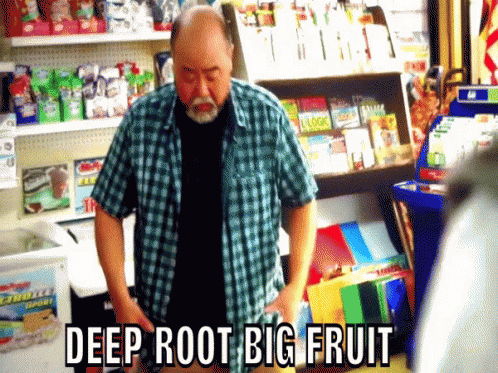Kims Convenience Deeper Root GIF - Kims Convenience Deeper Root Bigger Fruit GIFs