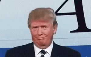 Trump Potus GIF - Trump Potus Thug Life GIFs