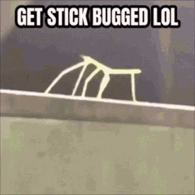 Stick Bug Get Stickbugged Lol GIF - Stick Bug Get Stickbugged Lol Get Stick Bugged GIFs
