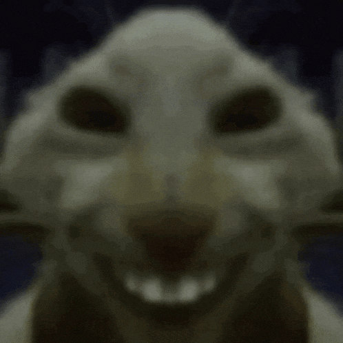 a blurred image of a cat with the words " i saw what you deleted " below it