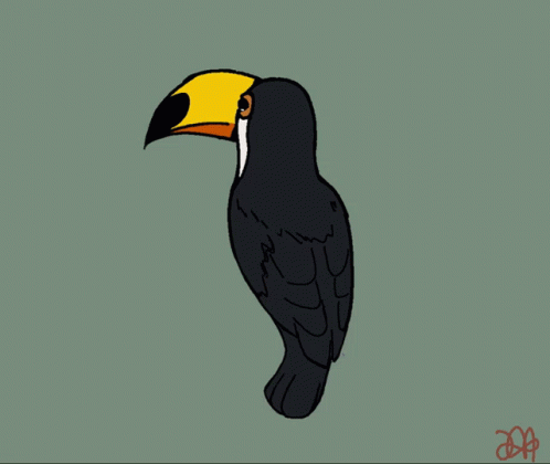 Toucan Spin GIF - Toucan Spin Spinning GIFs