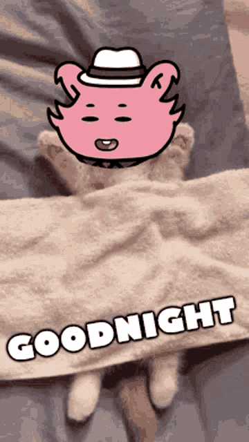 a picture of a cat laying under a blanket with the words goodnight written below it