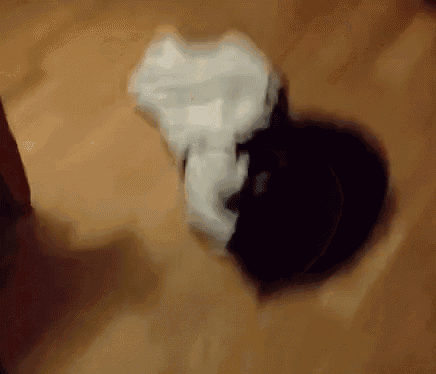 a black and white object is laying on a wooden surface