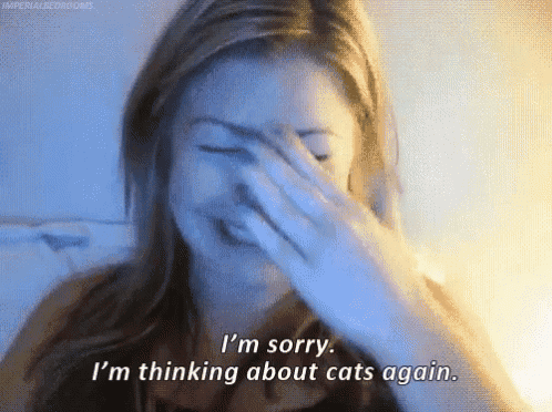 a woman is covering her face with her hand and saying i 'm sorry i 'm thinking about cats again