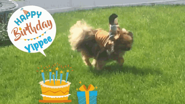 Happy Birthday Yippee GIF - Happy Birthday Yippee Dog GIFs