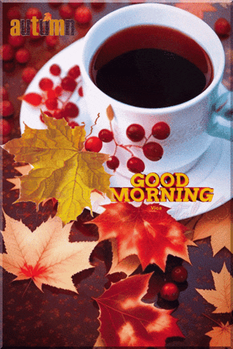 a cup of coffee sits on a saucer with autumn leaves around it