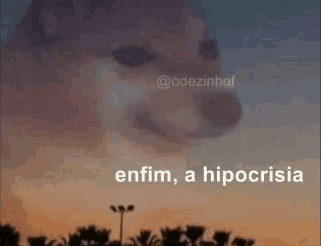 a dog is looking up at the sky with the words `` enfim , a hipocrisia '' .