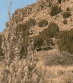 a close up of a cliff with a blue sky in the background