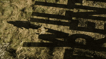a shadow of a person in a cowboy hat is cast on a grassy field