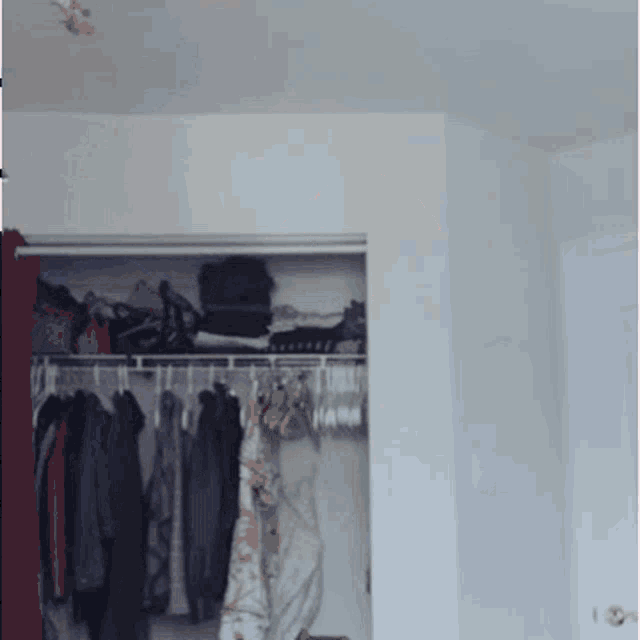 a closet with clothes hanging on a rack and a door