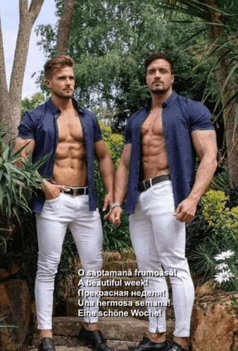 two shirtless men are standing next to each other in a garden with a caption that says a beautiful week