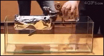 Science Floating GIF - Science Floating Wtf GIFs
