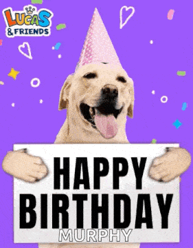 a dog in a party hat is holding a sign that says happy birthday murphy