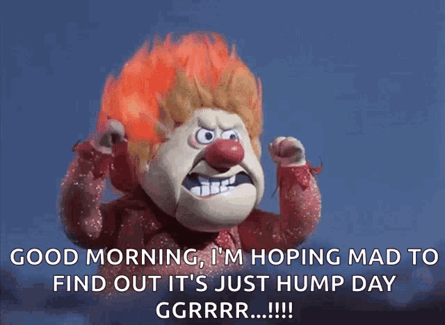 a cartoon character says good morning i 'm hoping mad to find out it 's just hump day ggrrr