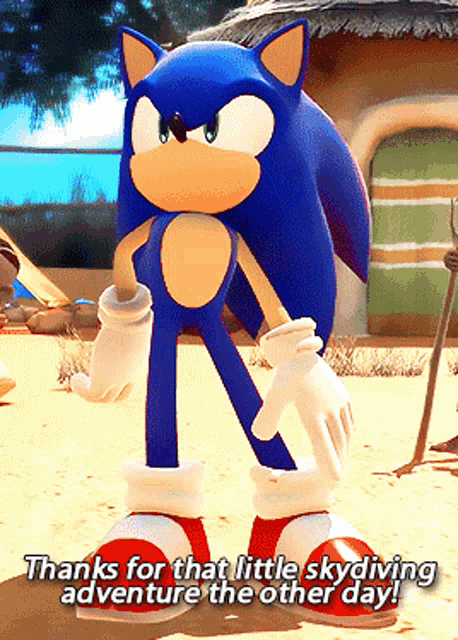 Sonic Thanks For That Little Skydiving Adventure GIF - Sonic Thanks For That Little Skydiving Adventure The Other Day GIFs