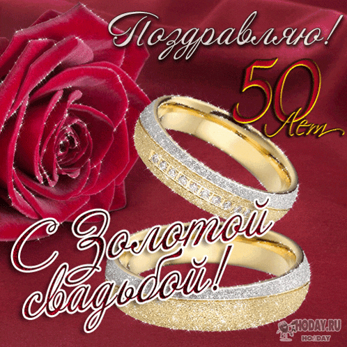 a 50th anniversary greeting card with a red rose and gold rings