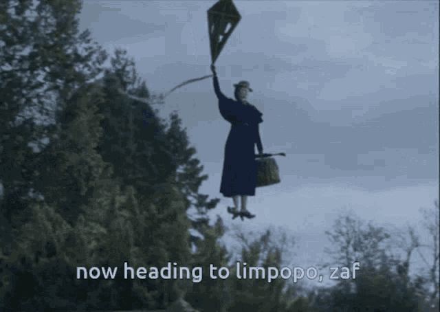 Limpopo Mary Poppins GIF - Limpopo Mary Poppins Limpopo Zaf GIFs