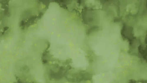 Amphibia Sprig GIF - Amphibia Sprig Disney GIFs