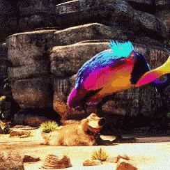 a dog is laying on the ground next to a colorful bird