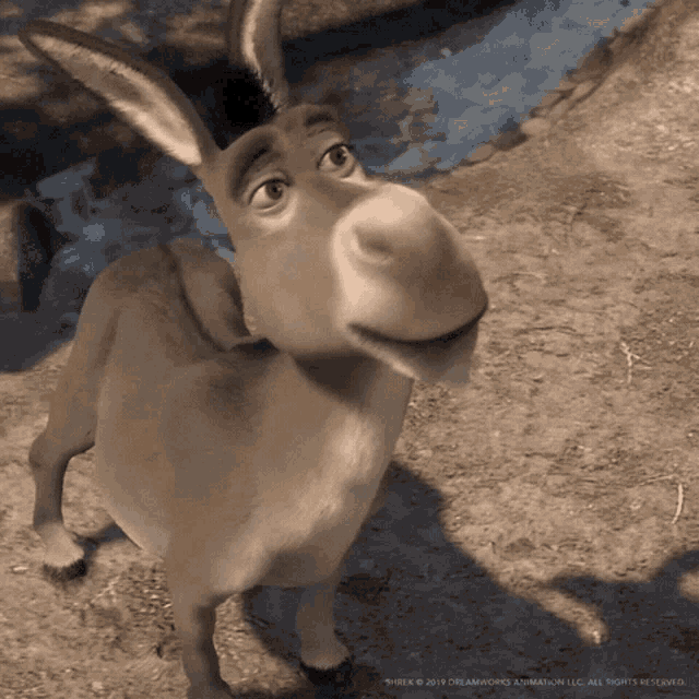 Donkey Shrek GIF - Donkey Shrek - Discover & Share GIFs