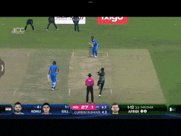 Shaheen Shah Wicket Wicket Taker GIF - Shaheen Shah Wicket Wicket Taker Beatiful GIFs