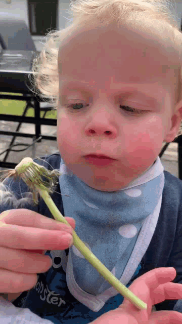 a young boy wearing a monster shirt is holding a dandelion