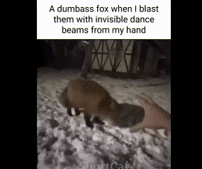 Fox GIF - Fox GIFs