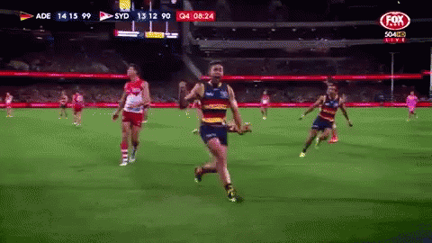 Adelaide Crows Yeah GIF - Adelaide Crows Yeah Pumped GIFs