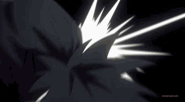 a close up of a person 's face with the words animesarcade below