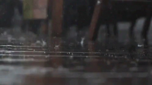 Rain Wet GIF - Rain Wet GIFs