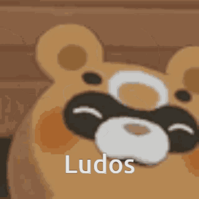 a close up of a cartoon bear with the word ludos written on it 's face .