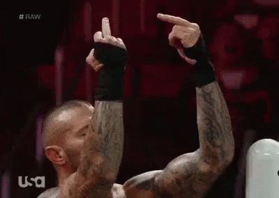 Orton Birds GIF - Wwe Randy Orton Fuck You GIFs