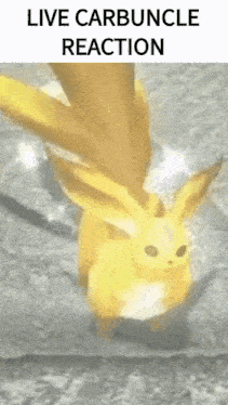 a yellow rabbit is standing on a rock in a video game with a live carbuncle reaction .