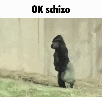 a gorilla is walking on its hind legs in a field .