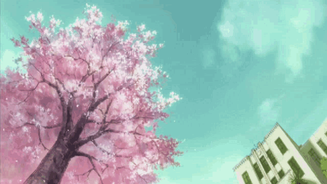 Cherry Blossoms Tree GIF