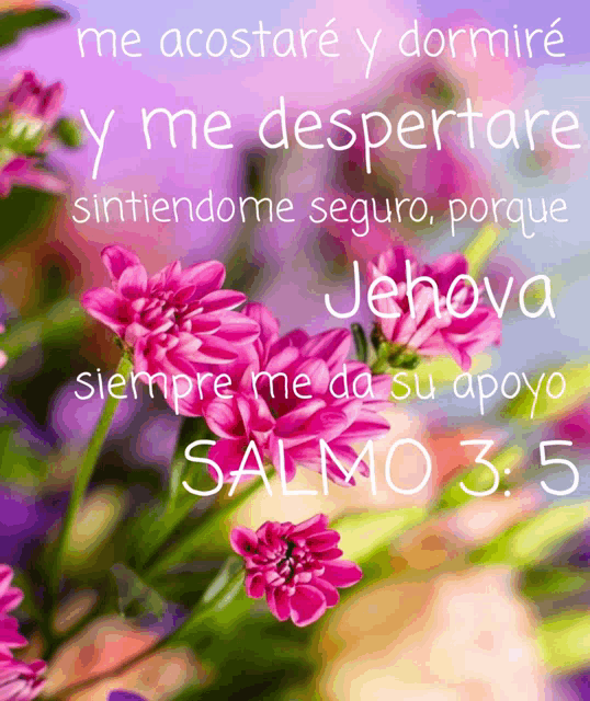 a picture of pink flowers with the words " me acostare y dormire y me despertare sintiendome seguro "