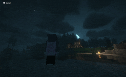 a screenshot of a minecraft game shows a person standing in a dark forest with a house in the distance