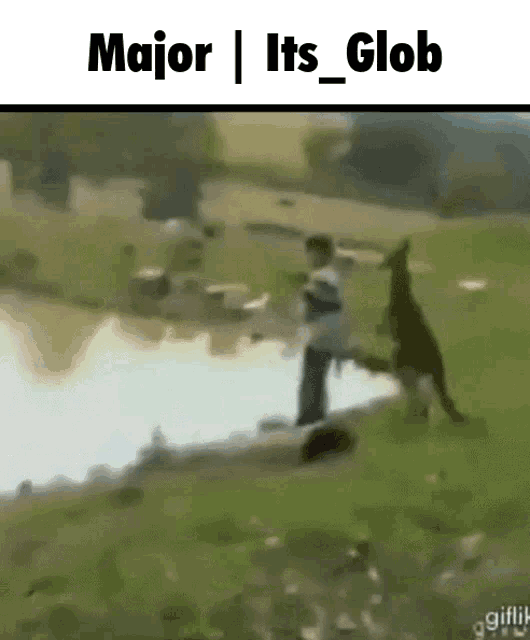 a man is standing next to a kangaroo in a field near a river .