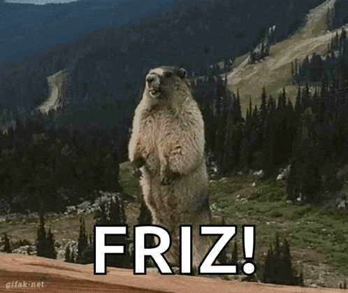 a ground squirrel standing on its hind legs with the word friz written on the bottom