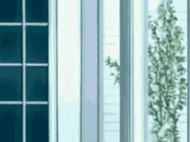 a close up of a window with a plant growing out of it