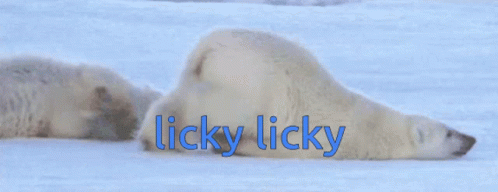 Aw Sooo Good Licky Licky GIF - Aw Sooo Good Licky Licky Polar Bear GIFs
