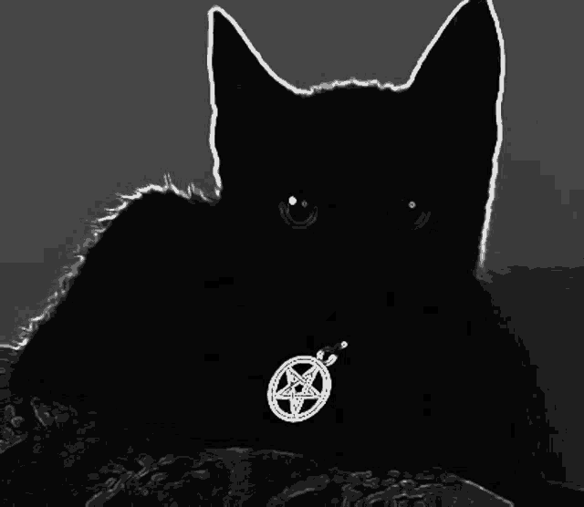 a black cat with a pentagram on its chest