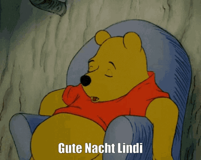 a cartoon of winnie the pooh sleeping in a chair with the words gute nacht lindi above him