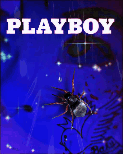 a spider is on the cover of a magazine called playboy