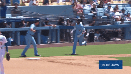 a blue jays baseball game is underway on a sunny day